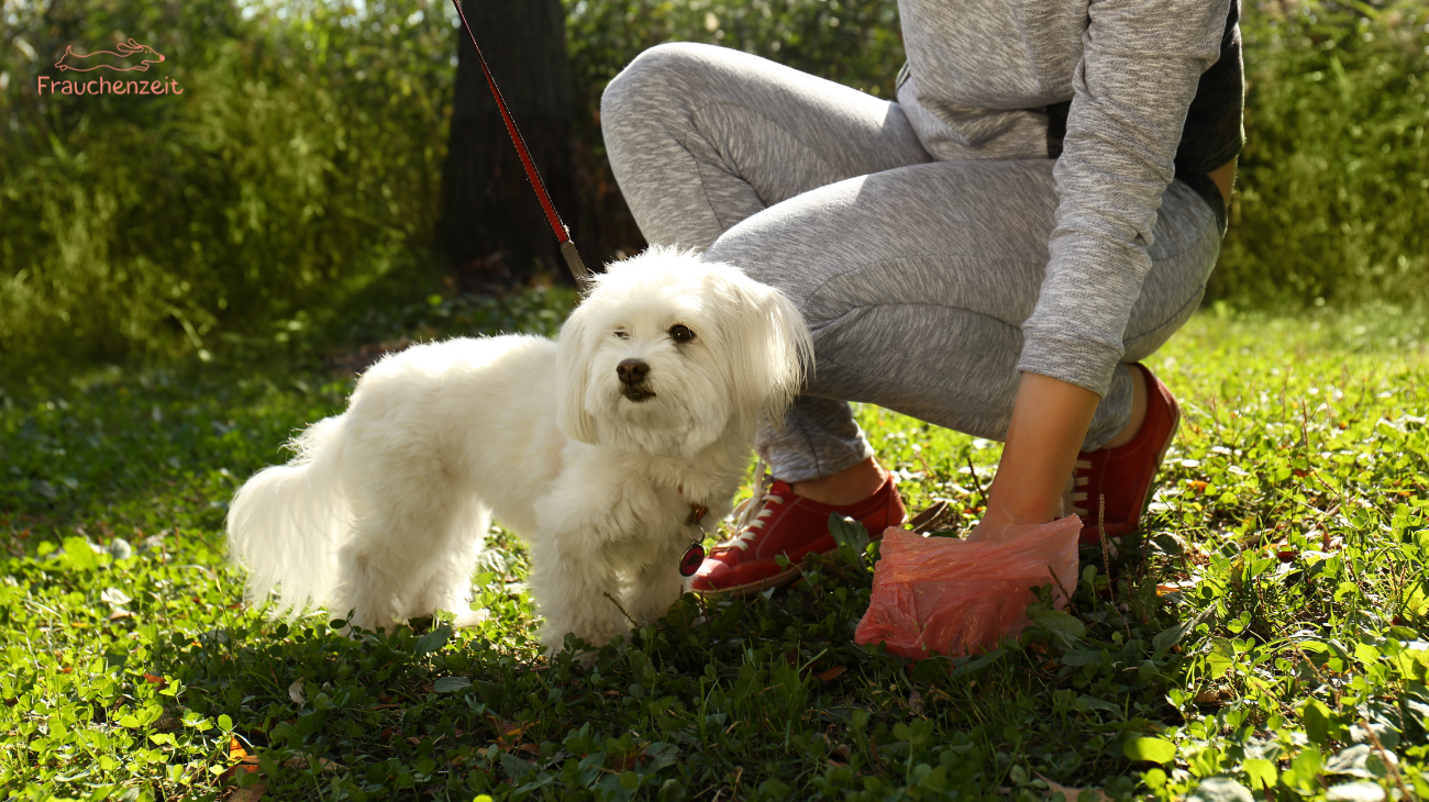 Schleimiger Durchfall beim Hund